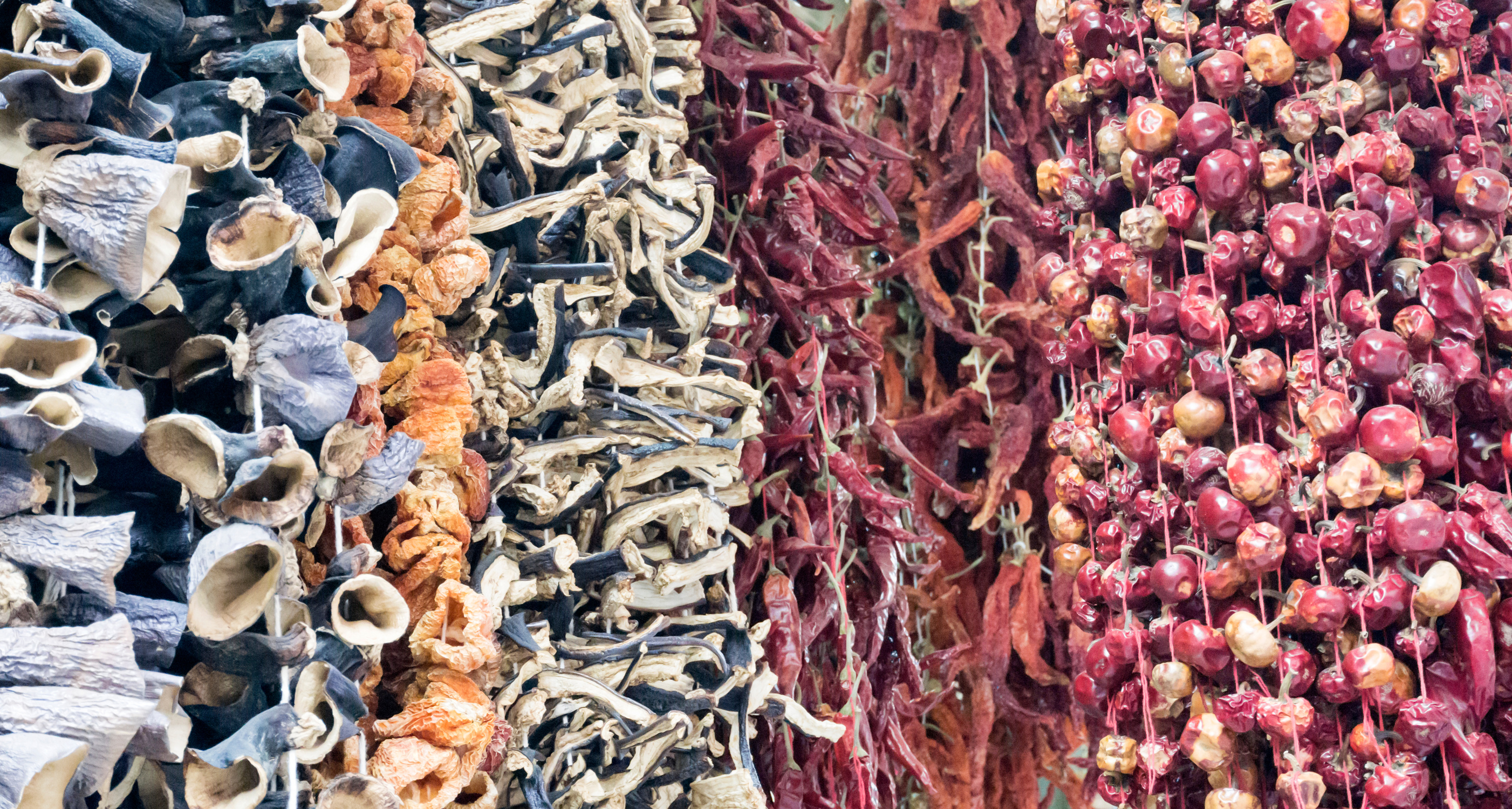 Dried Food